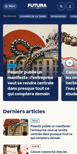Screenshot of the audited page (Mobile 375×812)