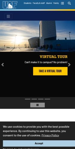 Screenshot of the audited page (Mobile 375×812)
