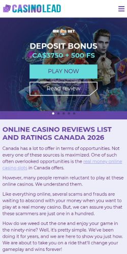 Screenshot of the audited page (Mobile 375×812)