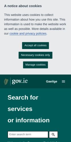 Screenshot of the audited page (Mobile 375×812)