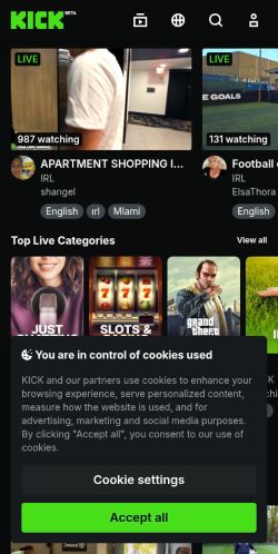Screenshot of the audited page (Mobile 375×812)