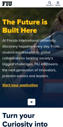 Screenshot of the audited page (Mobile 375×812)