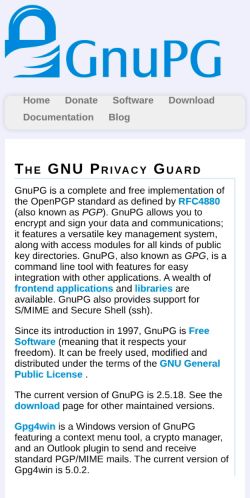 Screenshot of the audited page (Mobile 375×812)