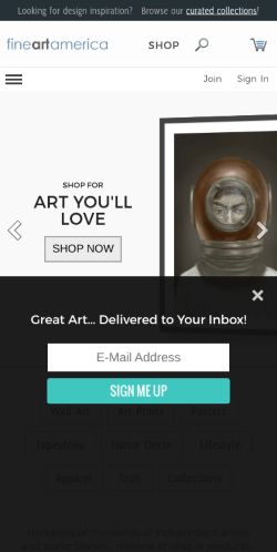 Screenshot of the audited page (Mobile 375×812)