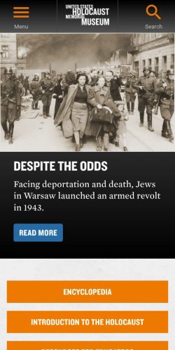 Screenshot of the audited page (Mobile 375×812)