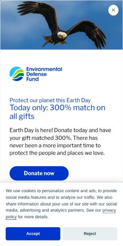 Screenshot of the audited page (Mobile 375×812)