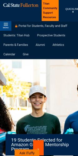 Screenshot of the audited page (Mobile 375×812)