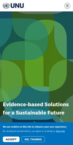 Screenshot of the audited page (Mobile 375×812)