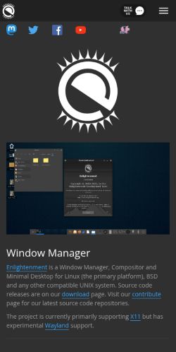 Screenshot of the audited page (Mobile 375×812)