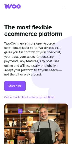 Screenshot of the audited page (Mobile 375×812)