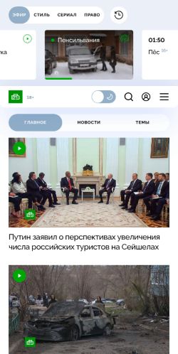 Screenshot of the audited page (Mobile 375×812)