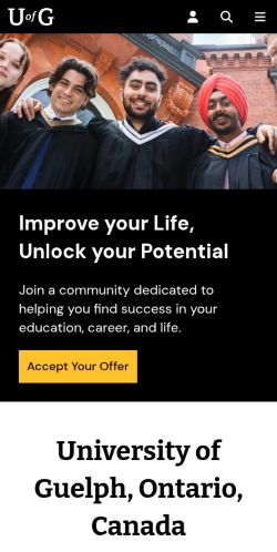 Screenshot of the audited page (Mobile 375×812)