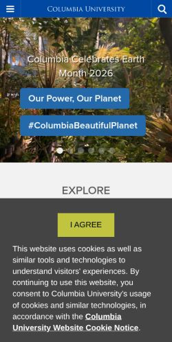 Screenshot of the audited page (Mobile 375×812)