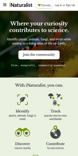 Screenshot of the audited page (Mobile 375×812)