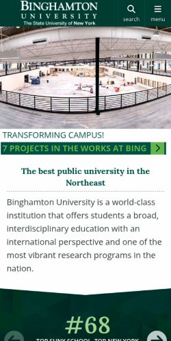 Screenshot of the audited page (Mobile 375×812)