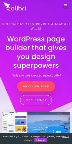 Screenshot of the audited page (Mobile 375×812)