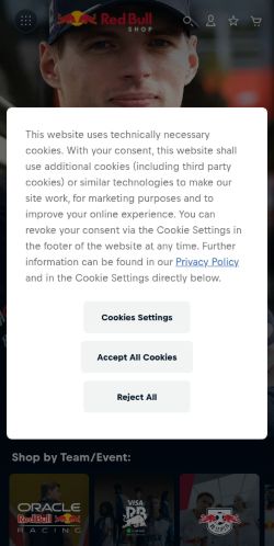 Screenshot of the audited page (Mobile 375×812)