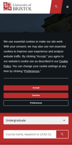 Screenshot of the audited page (Mobile 375×812)