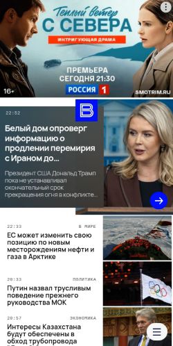 Screenshot of the audited page (Mobile 375×812)