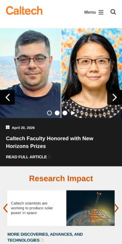 Screenshot of the audited page (Mobile 375×812)