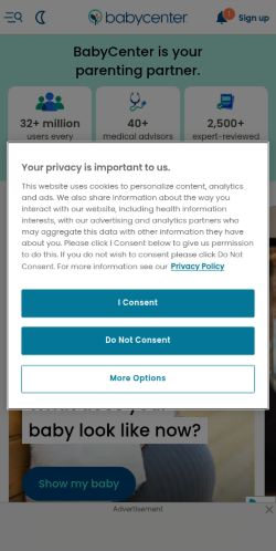 Screenshot of the audited page (Mobile 375×812)