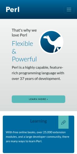 Screenshot of the audited page (Mobile 375×812)