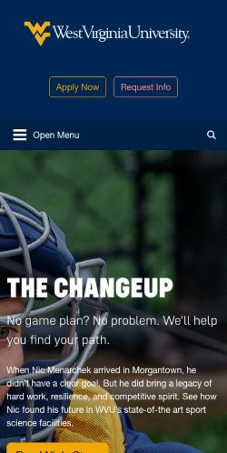 Screenshot of the audited page (Mobile 375×812)