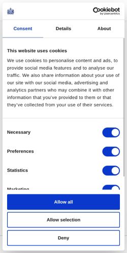 Screenshot of the audited page (Mobile 375×812)