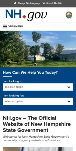 Screenshot of the audited page (Mobile 375×812)