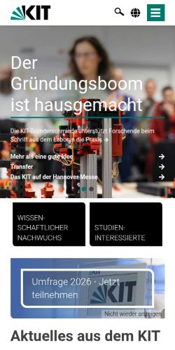 Screenshot of the audited page (Mobile 375×812)