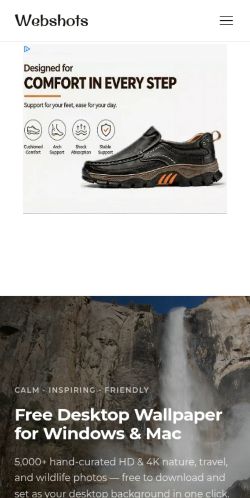 Screenshot of the audited page (Mobile 375×812)