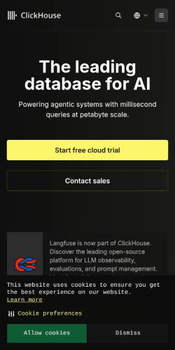 Screenshot of the audited page (Mobile 375×812)