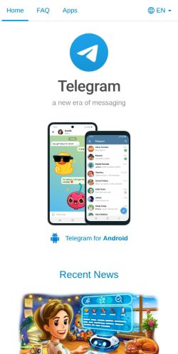 Screenshot of the audited page (Mobile 375×812)
