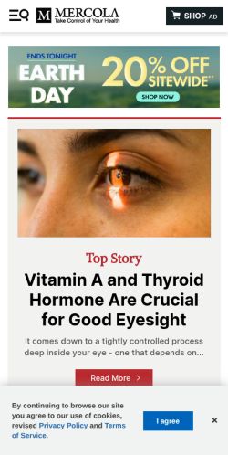 Screenshot of the audited page (Mobile 375×812)