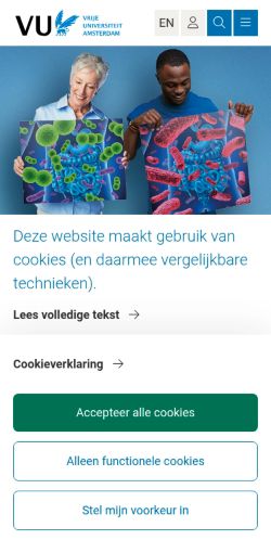 Screenshot of the audited page (Mobile 375×812)