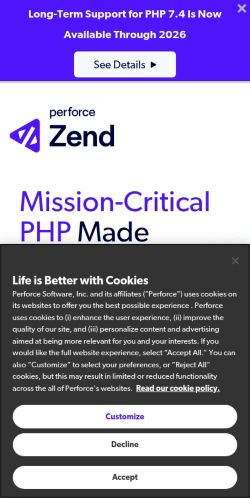 Screenshot of the audited page (Mobile 375×812)