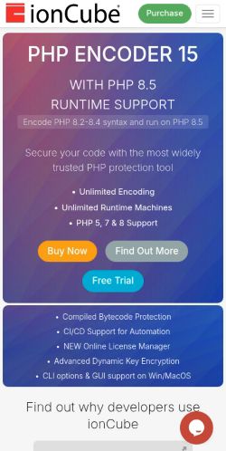Screenshot of the audited page (Mobile 375×812)