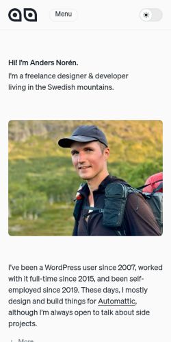 Screenshot of the audited page (Mobile 375×812)