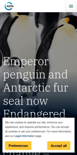 Screenshot of the audited page (Mobile 375×812)