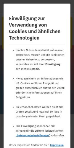 Screenshot of the audited page (Mobile 375×812)