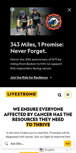 Screenshot of the audited page (Mobile 375×812)