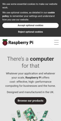 Screenshot of the audited page (Mobile 375×812)