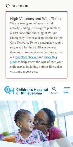 Screenshot of the audited page (Mobile 375×812)