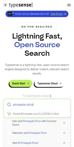 Screenshot of the audited page (Mobile 375×812)