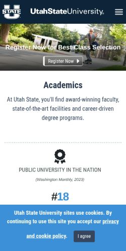 Screenshot of the audited page (Mobile 375×812)