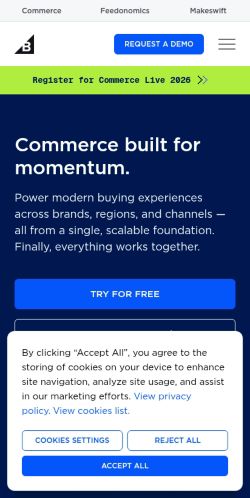 Screenshot of the audited page (Mobile 375×812)