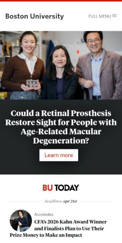 Screenshot of the audited page (Mobile 375×812)