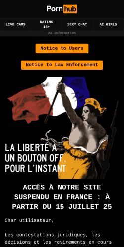 Screenshot of the audited page (Mobile 375×812)