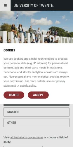 Screenshot of the audited page (Mobile 375×812)