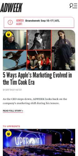 Screenshot of the audited page (Mobile 375×812)